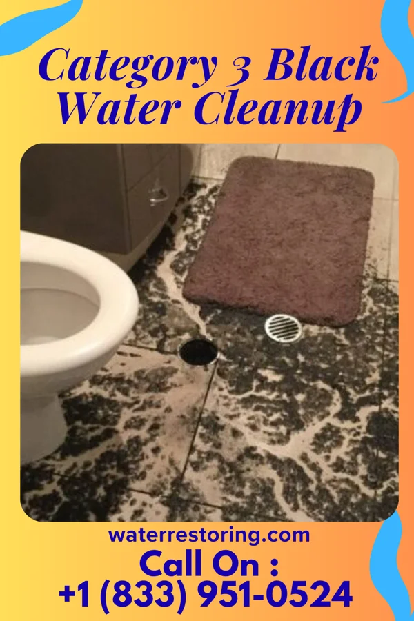 Category 3 Black Water Cleanup in Vienna, SD