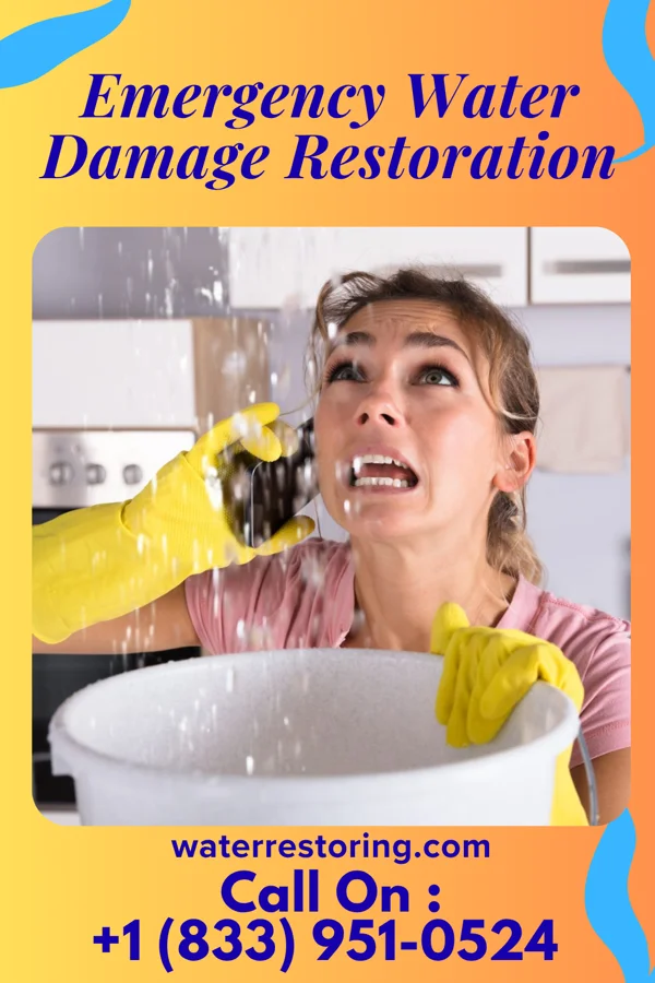 Emergency Water Damage Restoration in Vienna, SD
